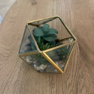 Filled Terrarium Succulent by Opal House